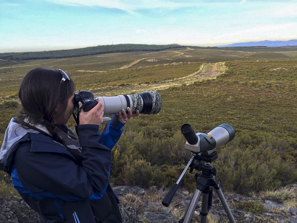 A woman on the left wearing a dark blue jacket holding a large camera. She is turned away from the viewer as she photographs animals in the distant hills.