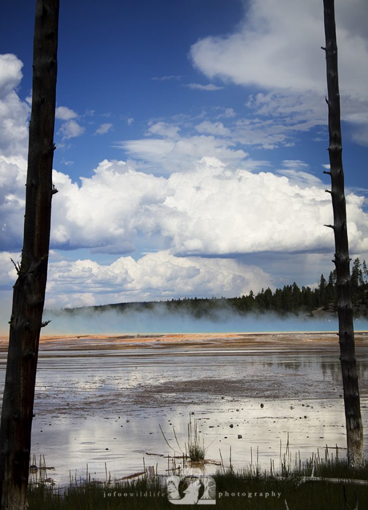 2011-08-04-005-JoFoo-Wildlife-Photography-Outdoors-Yellowstone-Landscape-Gazing-Across-the-Grand WR