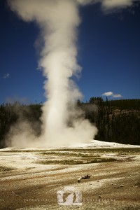 2011-08-03-001--JoFoo-Wildlife-Photography-Great-Outdoors-Yellowstone-Always-Faithful WR