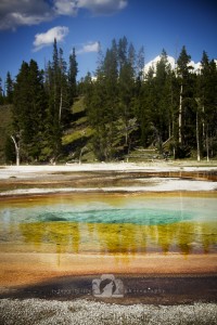 2011-08-04-004-JoFoo-Wildlife-Photography-Great-Outdoors-Yellowstone-Travel-Landscape-Geysers-Hot-Springs WR