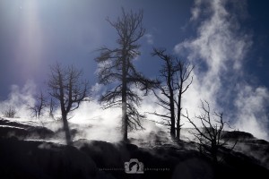 2013-10-22-Jo-Foo-Wildlife-Photography-Outdoors-Landscape-Yellowstone-Mystical-Mammoth WR